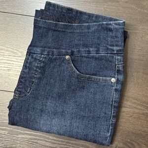 Jag Jeans Peri Pull-On Straight Leg Dark Wash Indigo Denim Pants 12 x 32